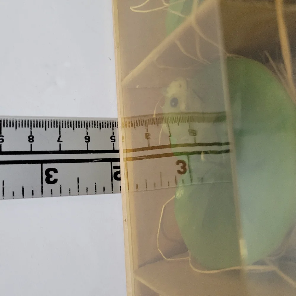 In the Garden Frog Floating Candles NIB
